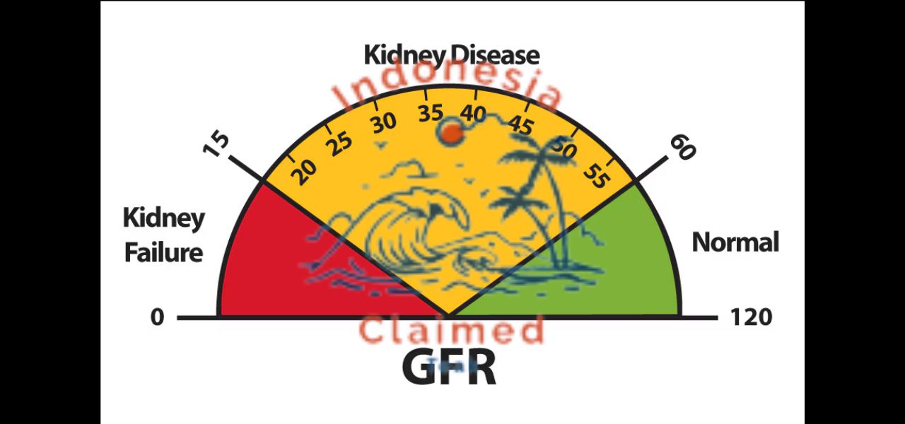 kidney function below 40 fasting
