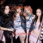 BLACKPINK Concert Tickets Became Gratification Evidence in Foreign Worker Case